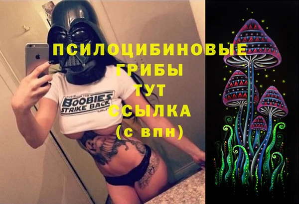 дурь Алзамай