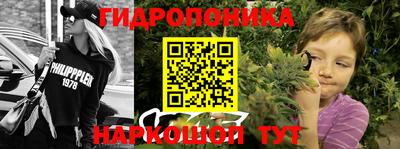 таблы Новокубанск