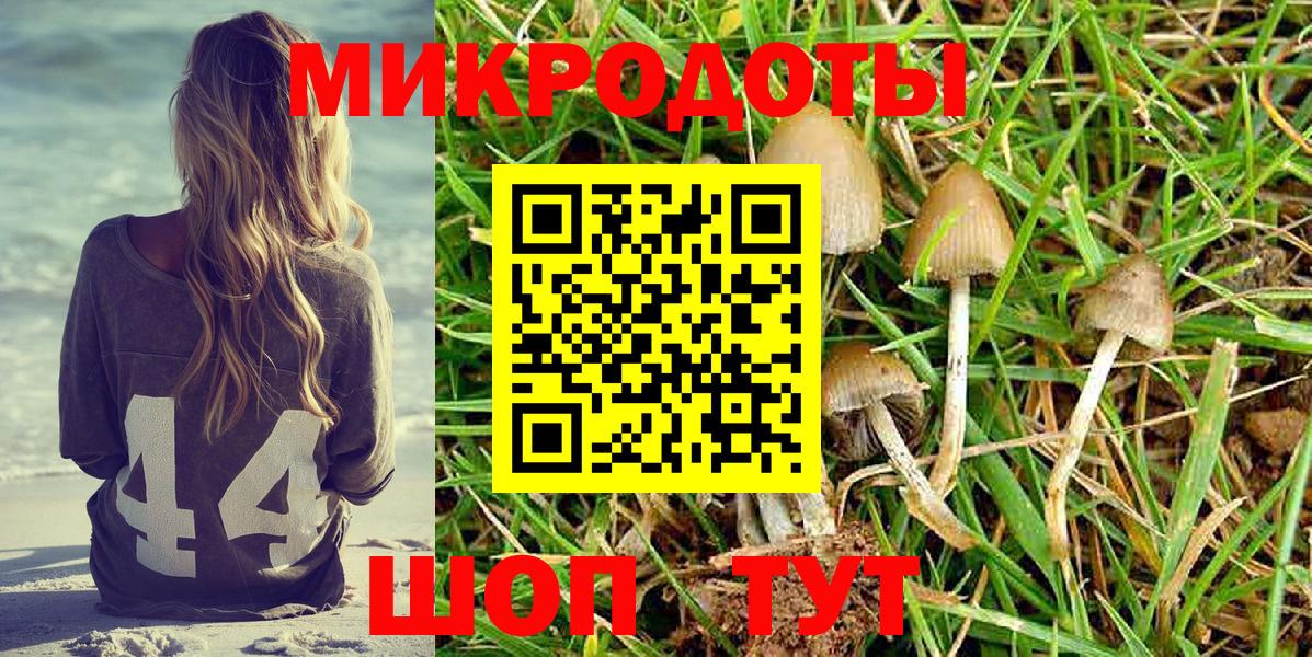 Галлюциногенные грибы ЛСД Урюпинск