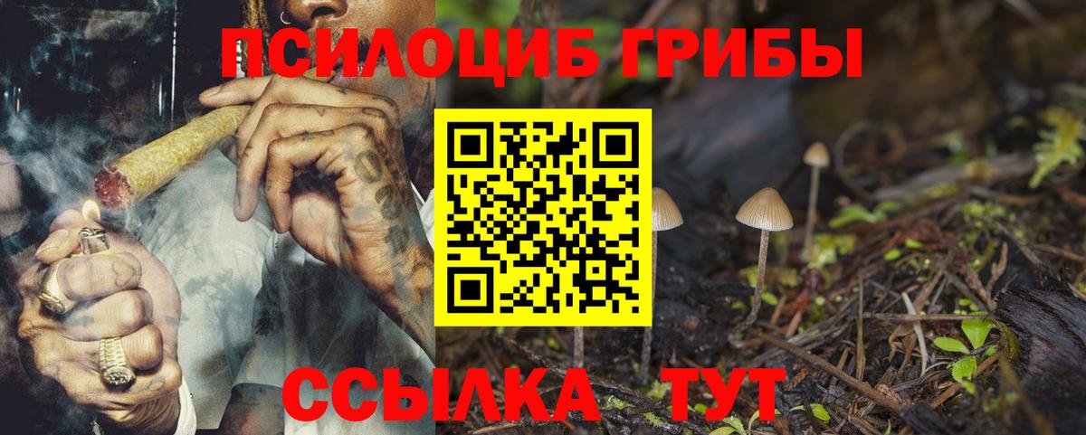 Урюпинск  купить  сайты  Вход с VPN  Псилоцибиновые грибы GOLDEN TEACHER 